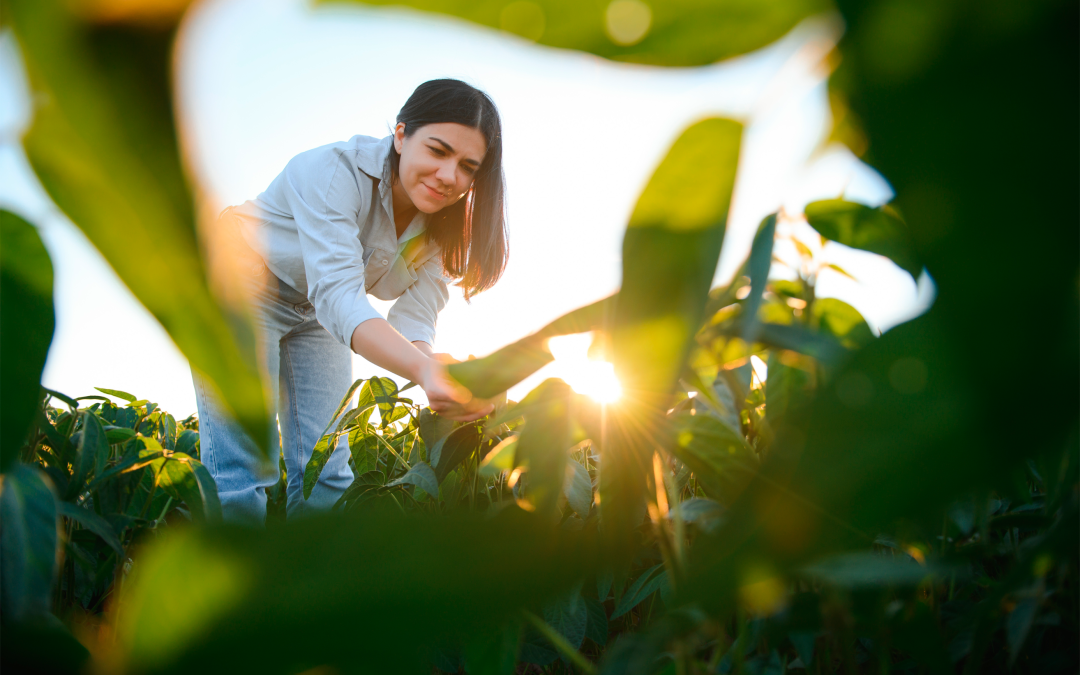 A Jornada do Paciente Amplexus: Cuidar do Agro é Cuidar do Coração do Brasil