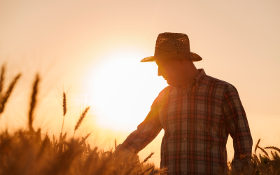 Sob o Sol do Agro: Protegendo sua Pele contra o Câncer